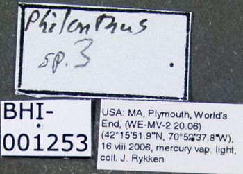Media type: image;   Entomology 601713 Aspect: labels